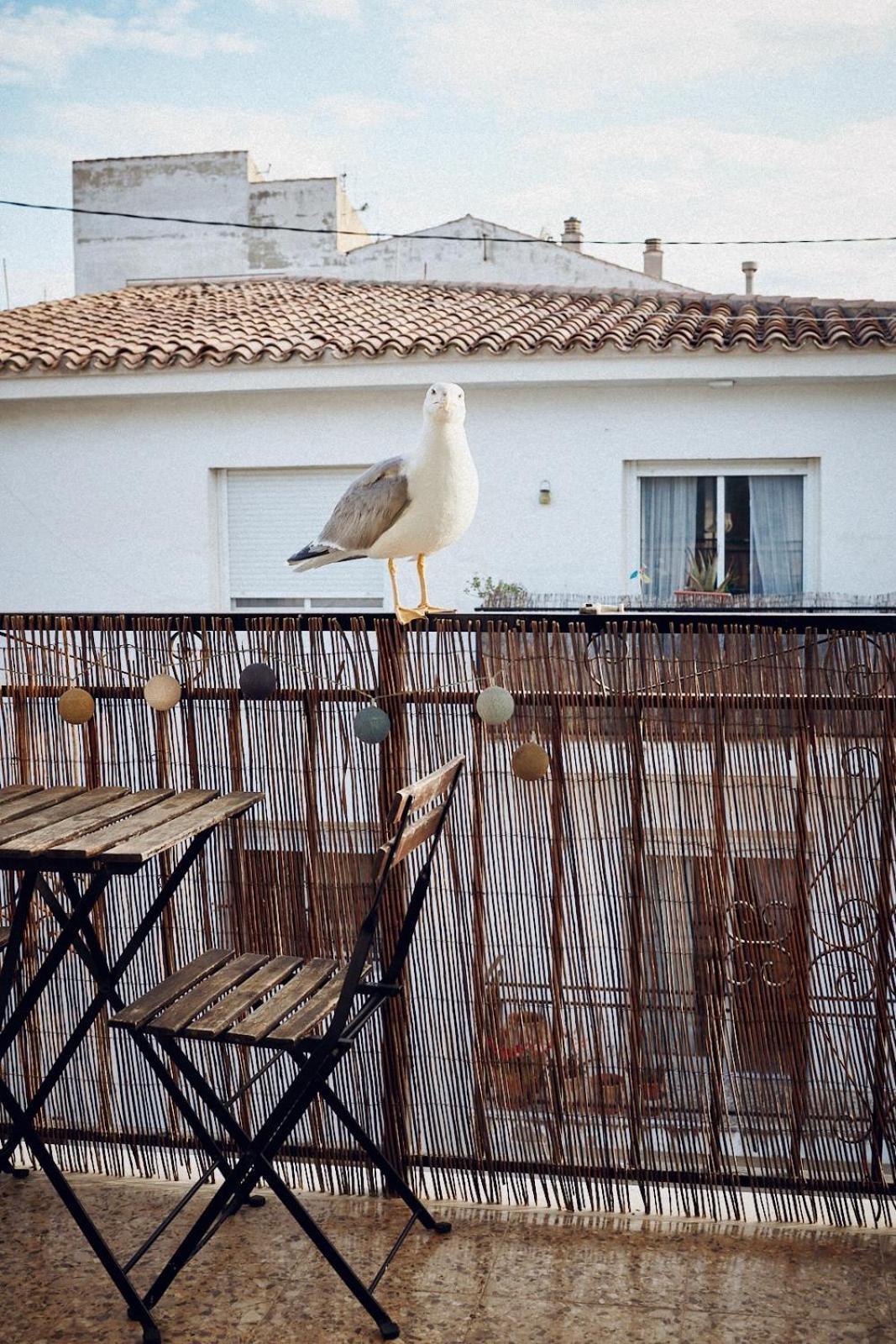 Maison Dya Altea Esterno foto